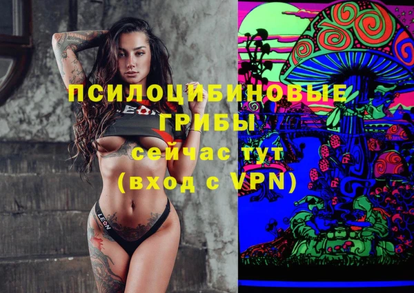 мдпв Абдулино