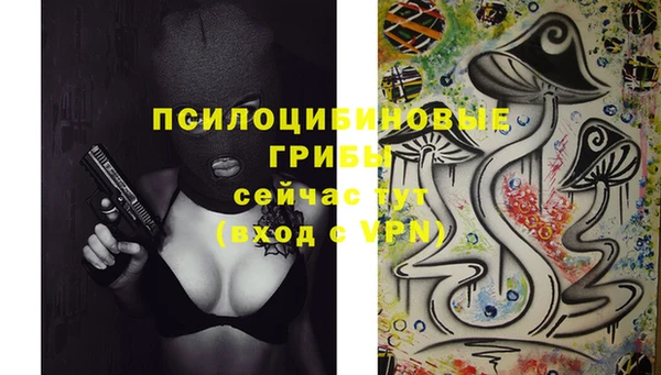 марки lsd Абаза