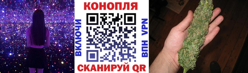 купить  цена  Щёлкино  Каннабис индика 